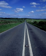 ����ҽ����ҵ��